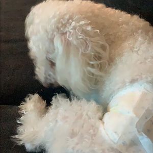 Meet your Posher, Valery